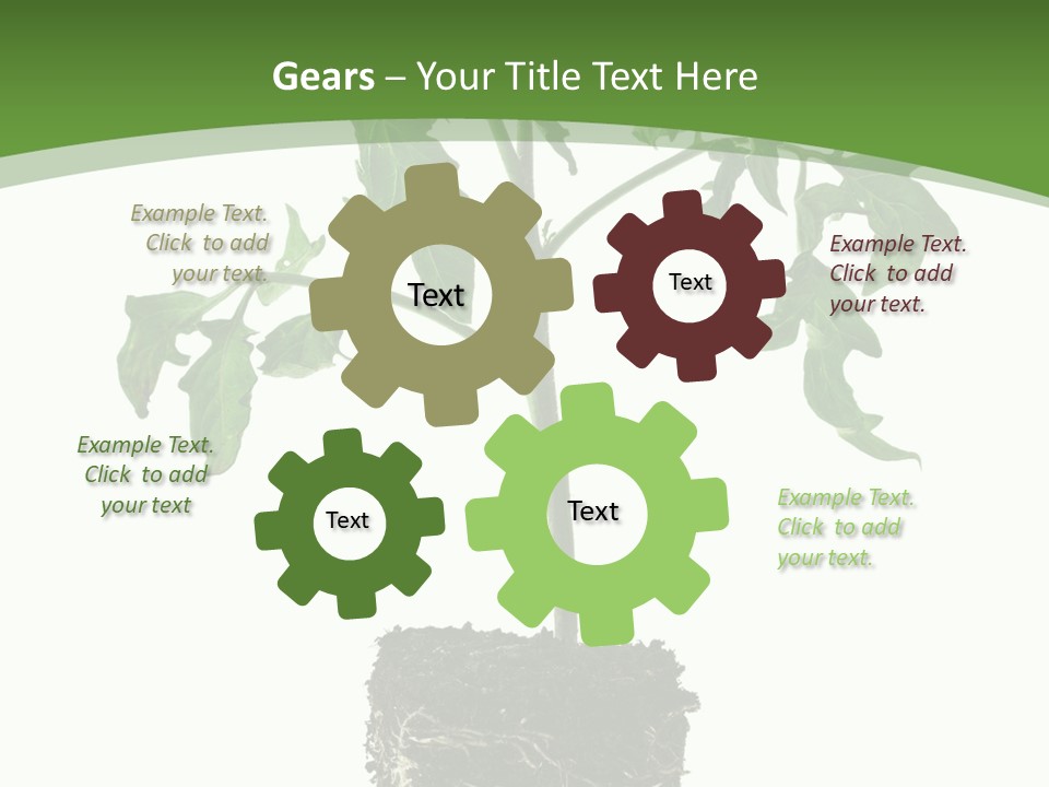 Leaf White Pot PowerPoint Template