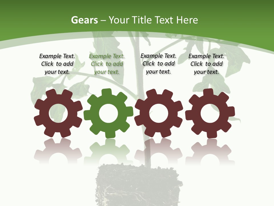 Leaf White Pot PowerPoint Template