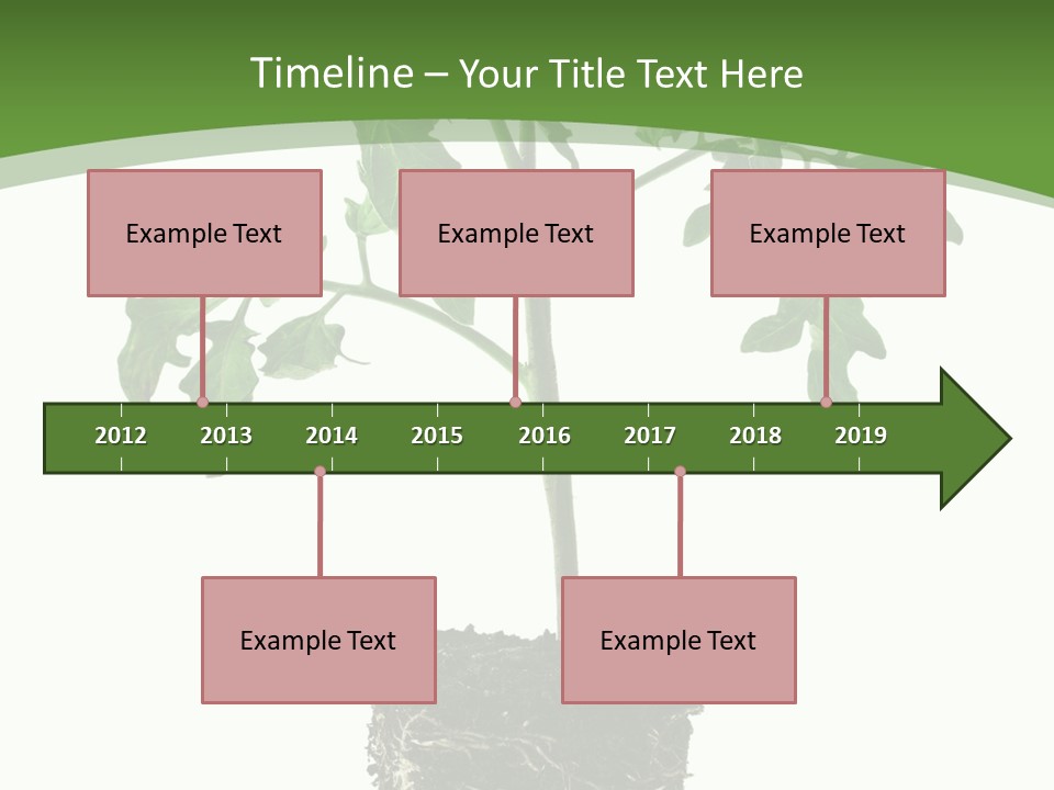 Leaf White Pot PowerPoint Template