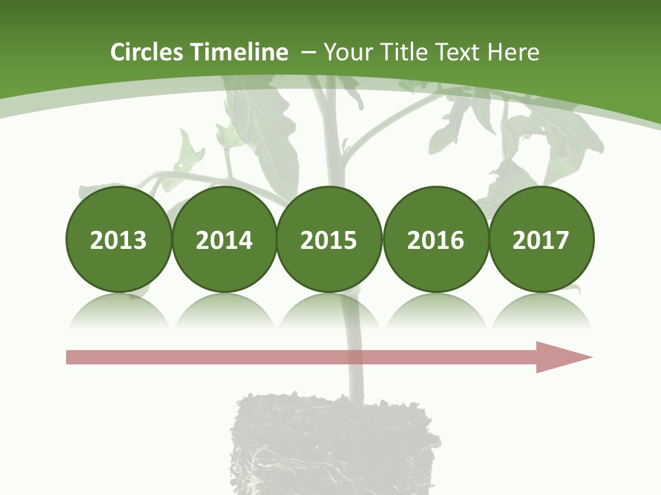 Leaf White Pot PowerPoint Template