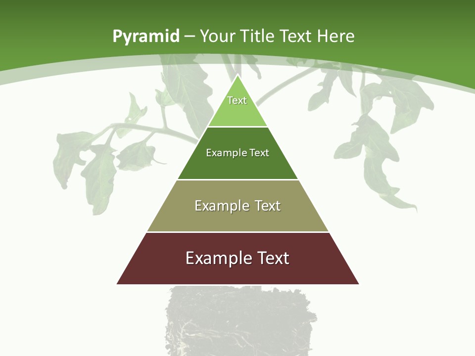 Leaf White Pot PowerPoint Template