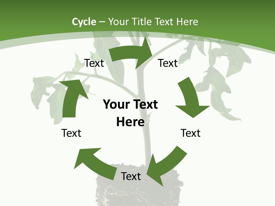 Leaf White Pot PowerPoint Template