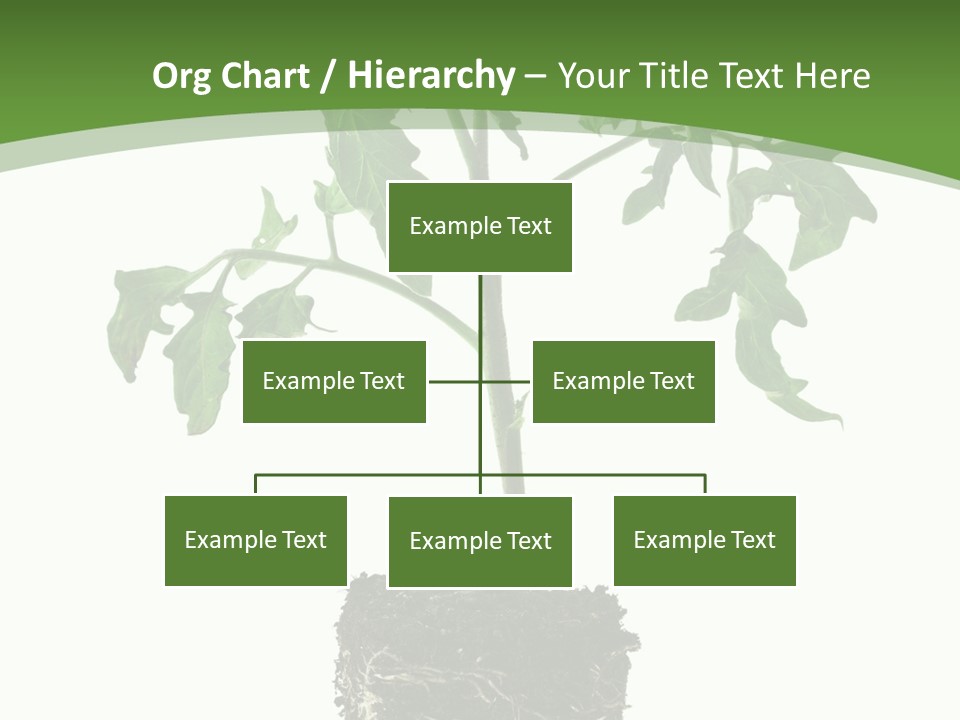 Leaf White Pot PowerPoint Template