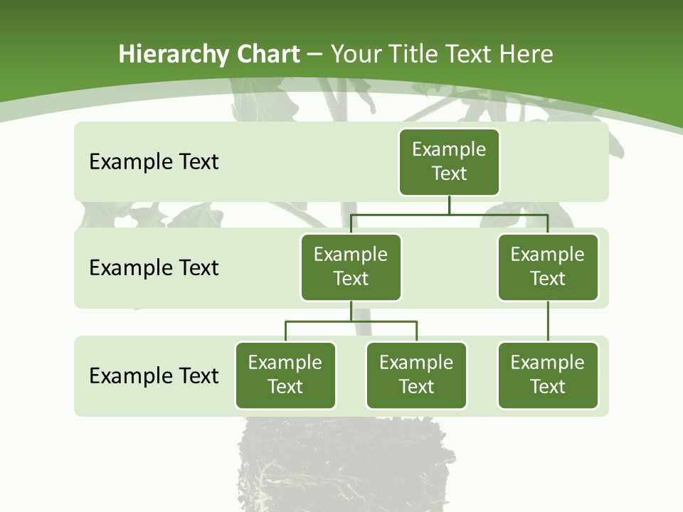 Leaf White Pot PowerPoint Template