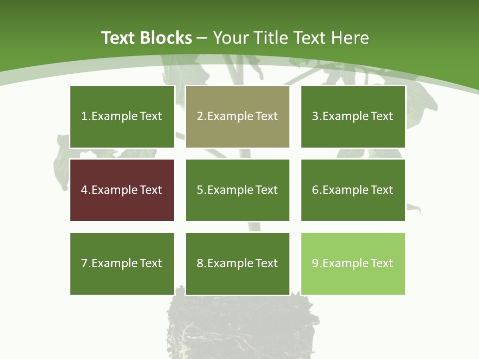 Leaf White Pot PowerPoint Template