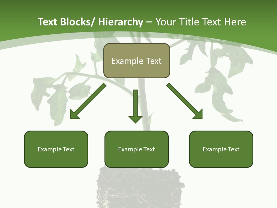 Leaf White Pot PowerPoint Template