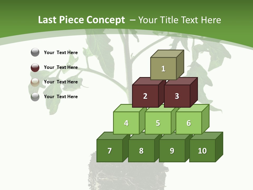 Leaf White Pot PowerPoint Template