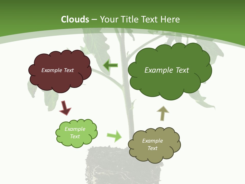 Leaf White Pot PowerPoint Template
