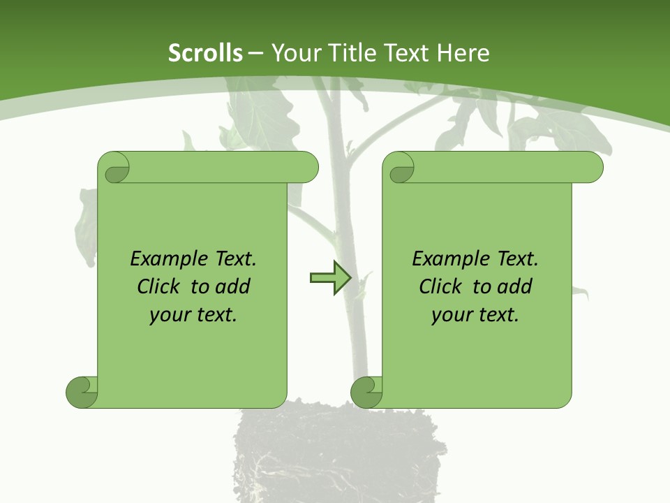 Leaf White Pot PowerPoint Template