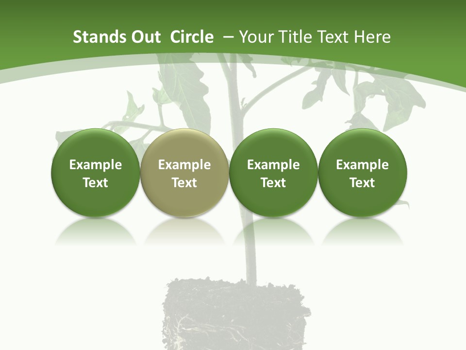 Leaf White Pot PowerPoint Template
