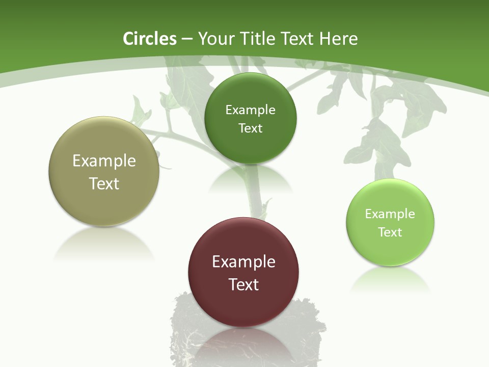 Leaf White Pot PowerPoint Template