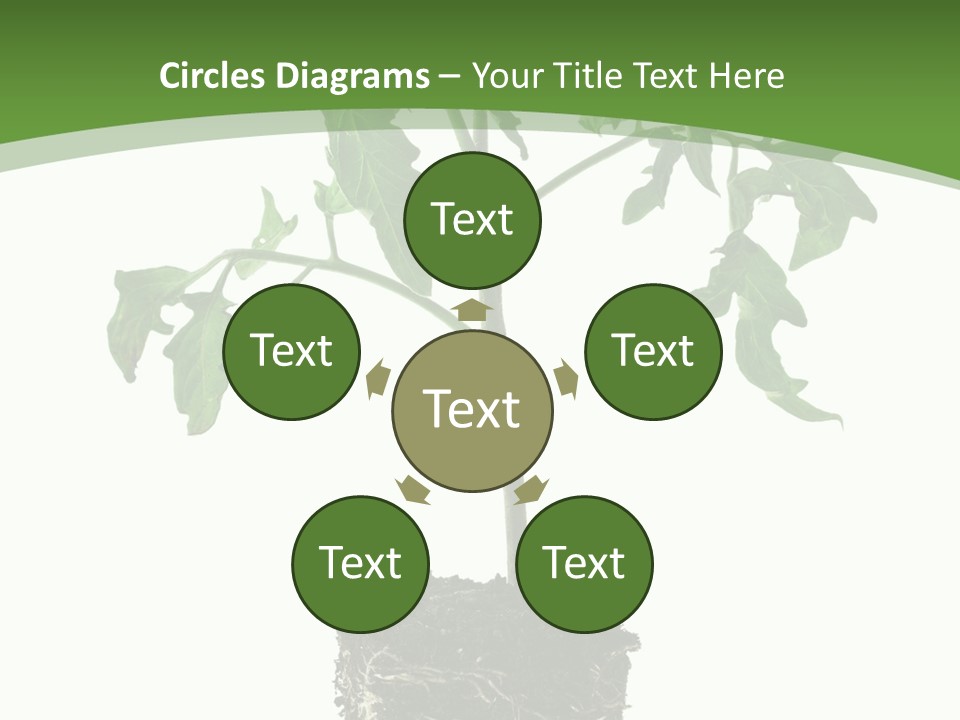 Leaf White Pot PowerPoint Template