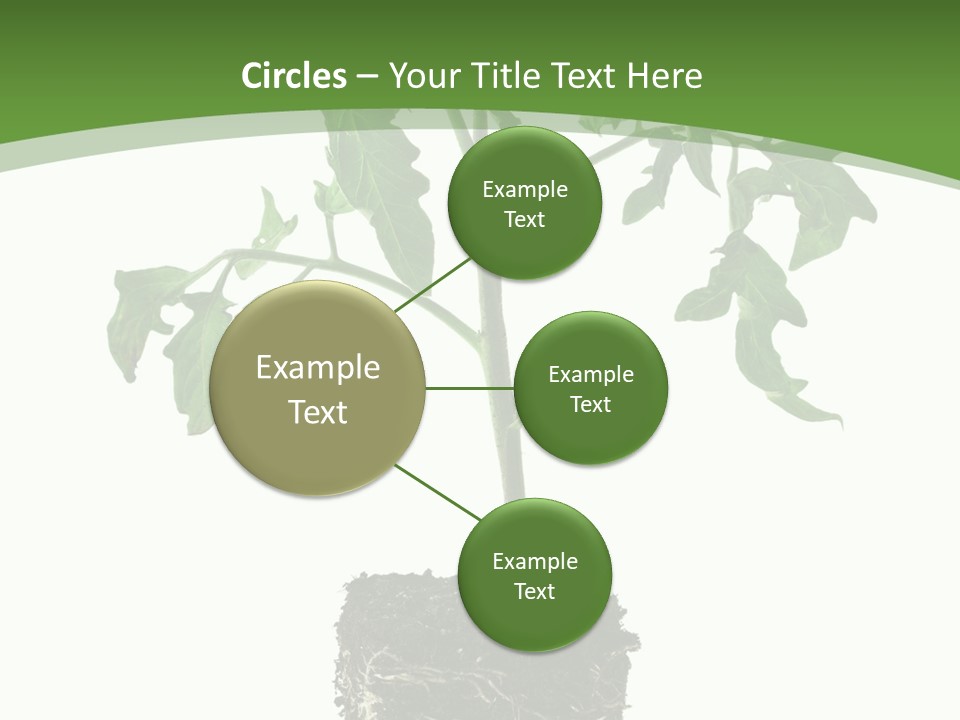 Leaf White Pot PowerPoint Template