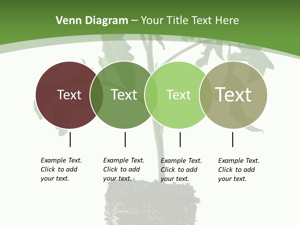 Leaf White Pot PowerPoint Template