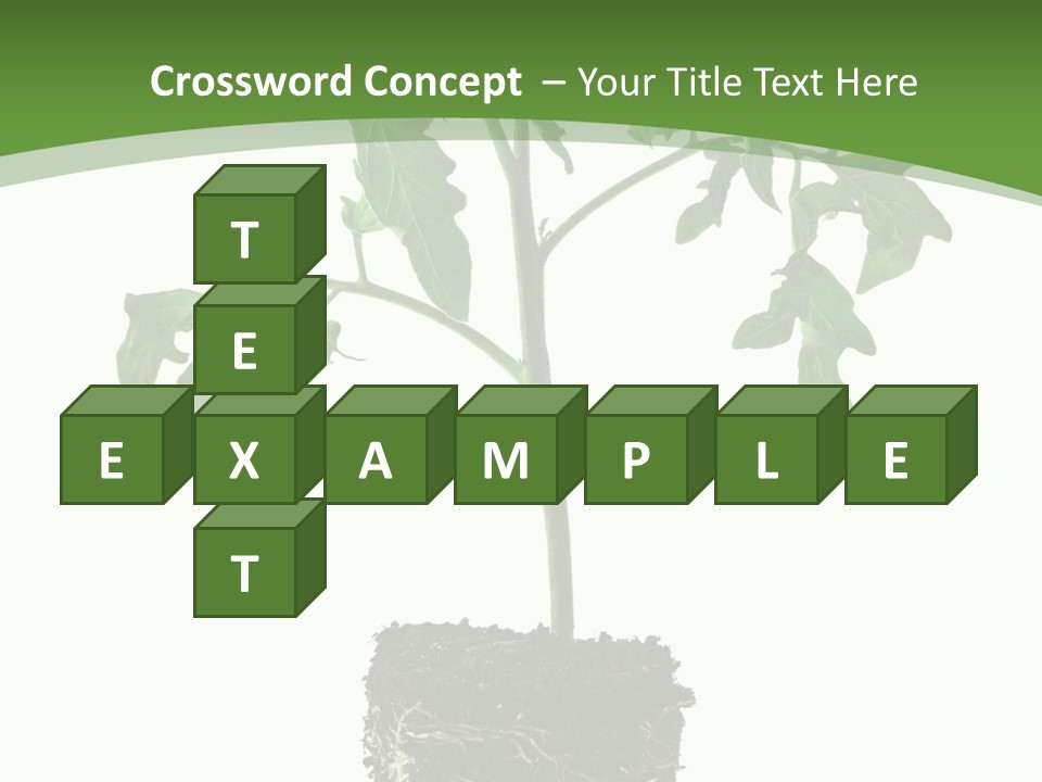 Leaf White Pot PowerPoint Template
