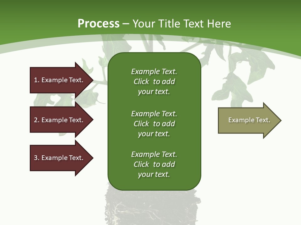 Leaf White Pot PowerPoint Template