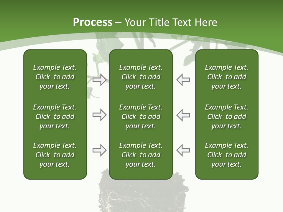 Leaf White Pot PowerPoint Template