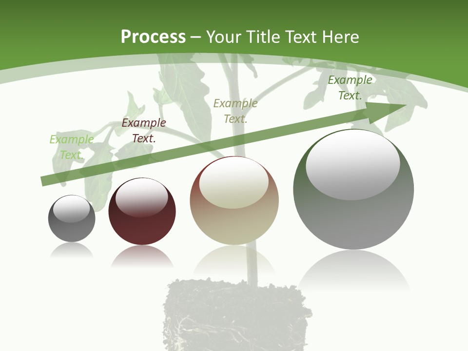 Leaf White Pot PowerPoint Template