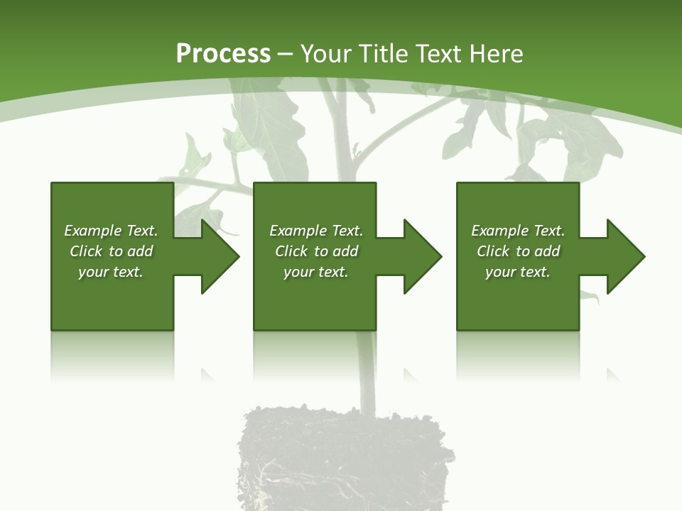 Leaf White Pot PowerPoint Template