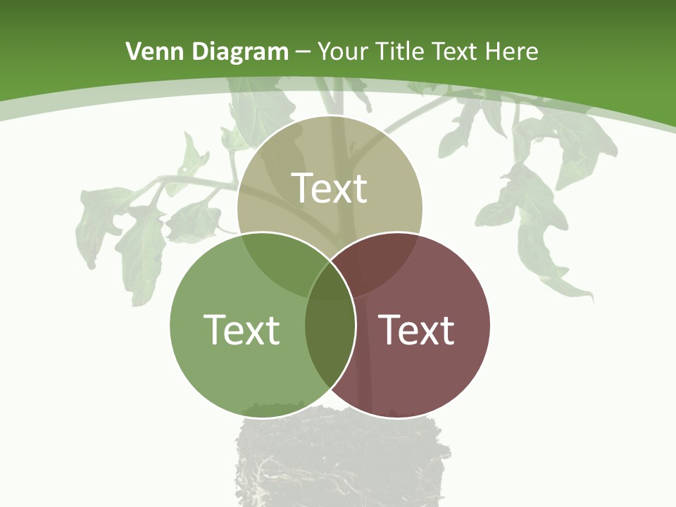 Leaf White Pot PowerPoint Template