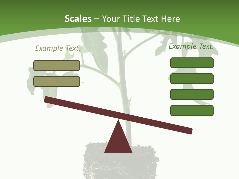 Leaf White Pot PowerPoint Template