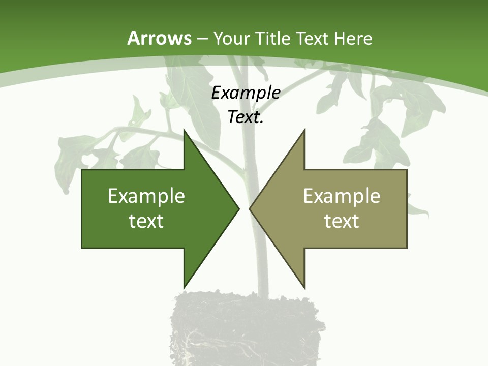 Leaf White Pot PowerPoint Template
