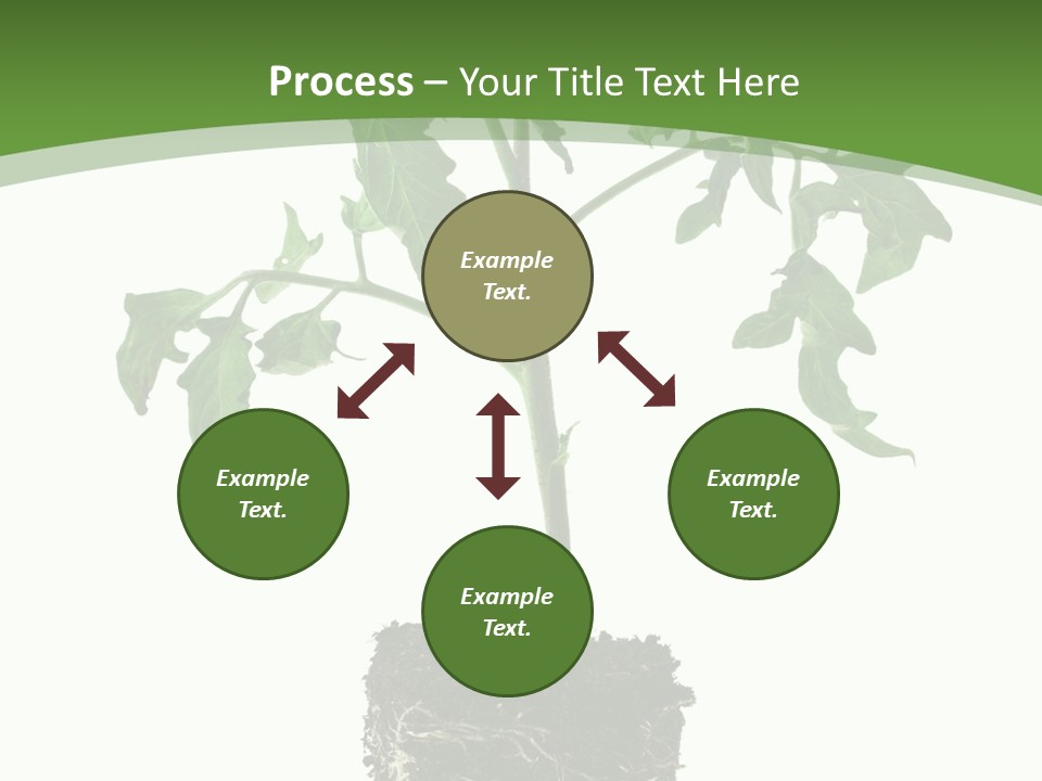 Leaf White Pot PowerPoint Template