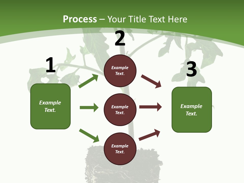 Leaf White Pot PowerPoint Template