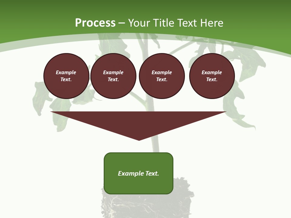 Leaf White Pot PowerPoint Template