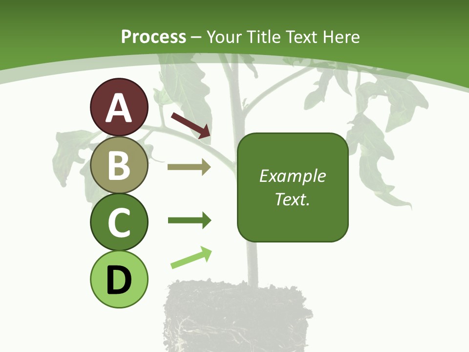 Leaf White Pot PowerPoint Template