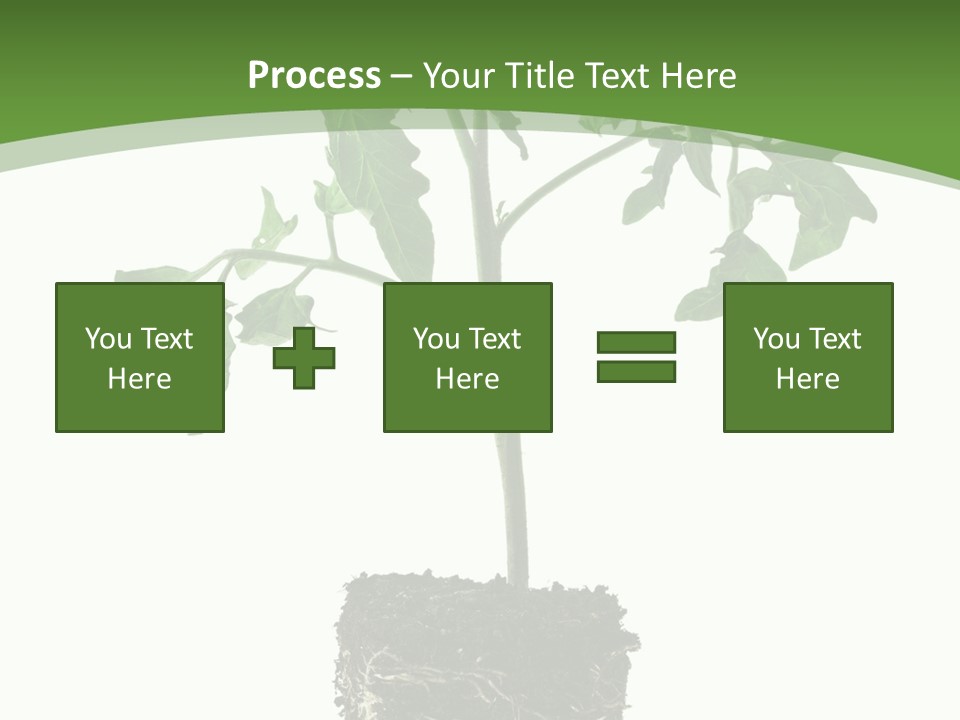 Leaf White Pot PowerPoint Template