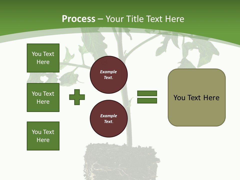Leaf White Pot PowerPoint Template