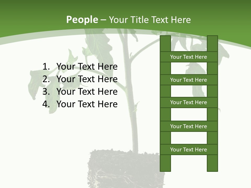 Leaf White Pot PowerPoint Template