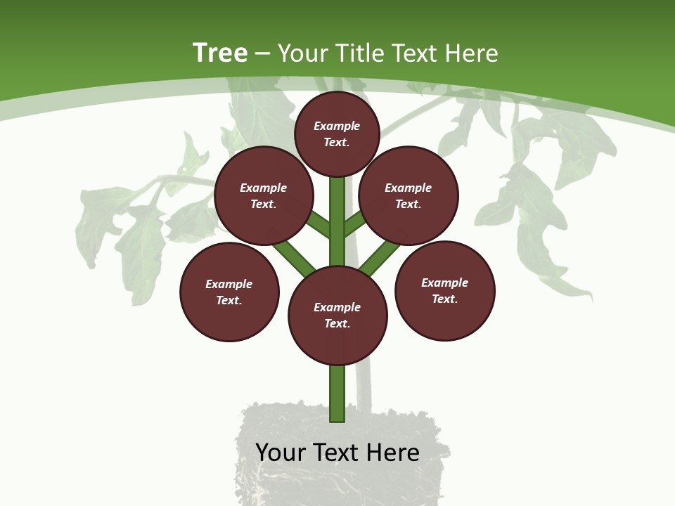 Leaf White Pot PowerPoint Template