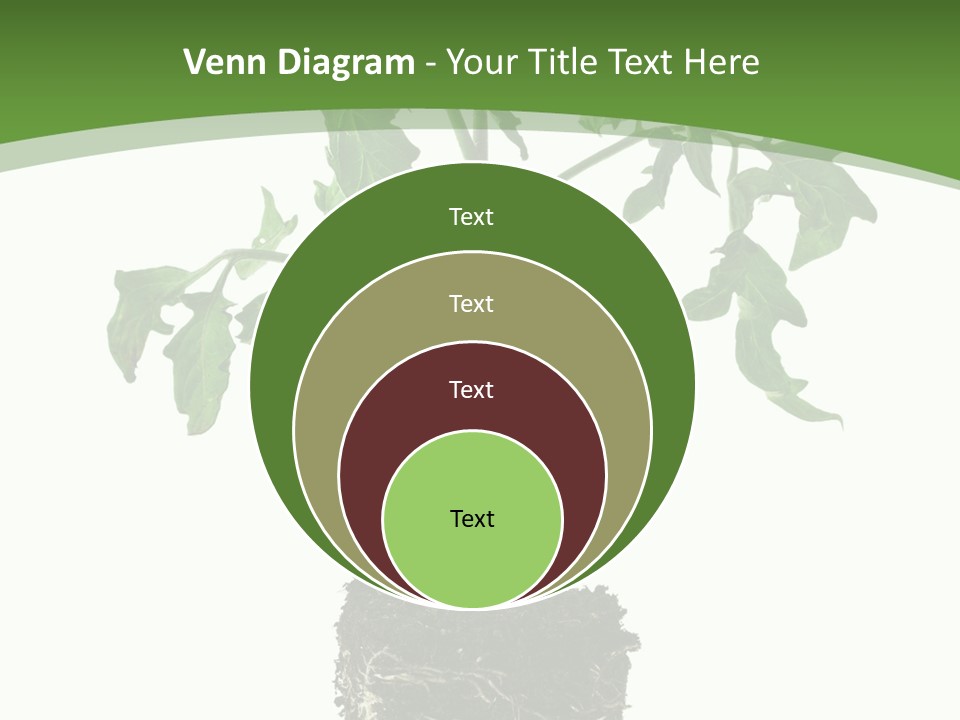Leaf White Pot PowerPoint Template