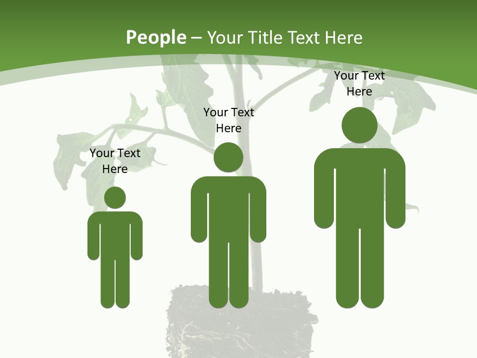 Leaf White Pot PowerPoint Template