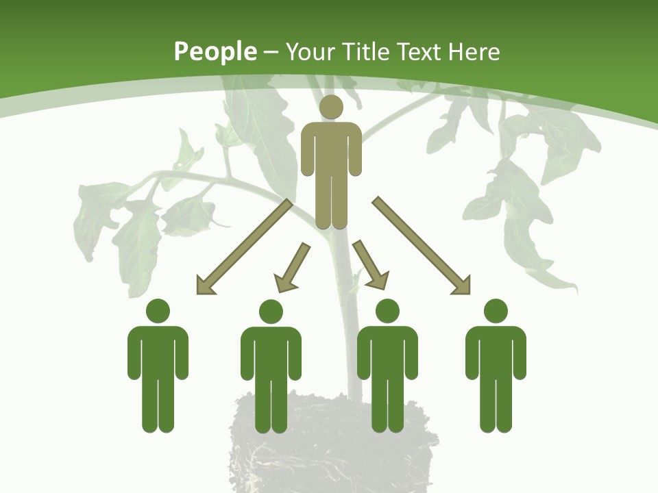 Leaf White Pot PowerPoint Template