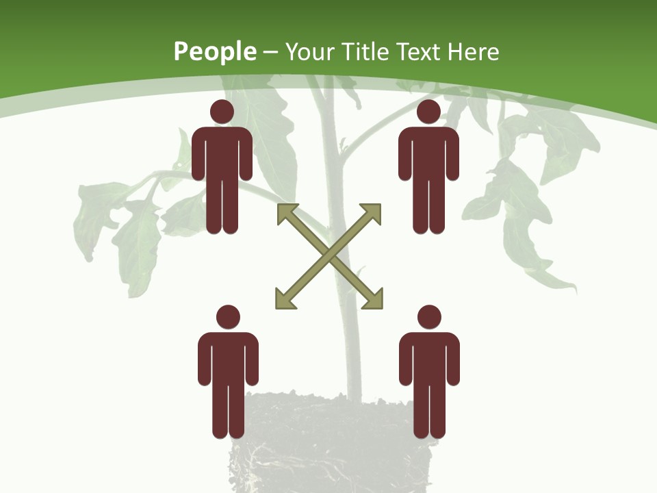 Leaf White Pot PowerPoint Template