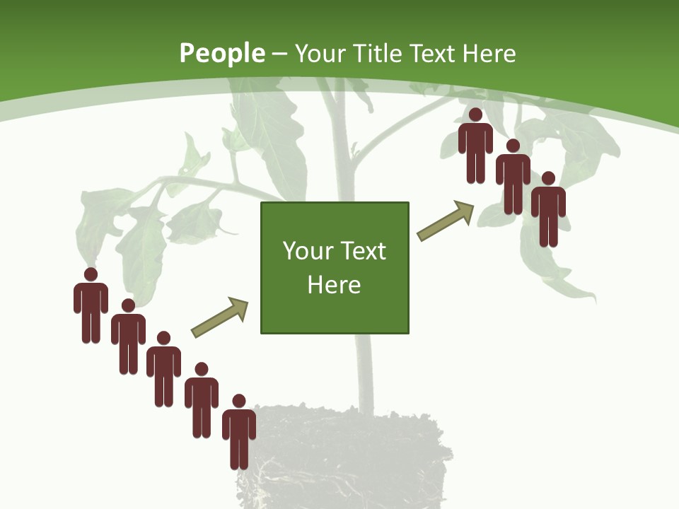Leaf White Pot PowerPoint Template
