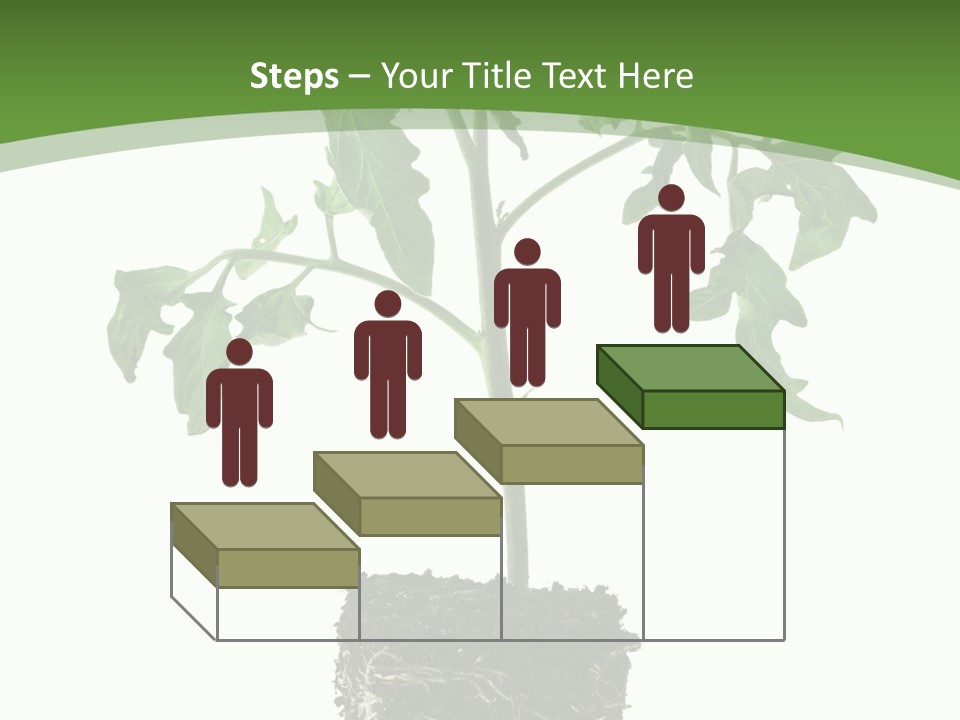 Leaf White Pot PowerPoint Template