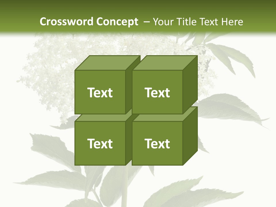 Nature Studio Sambucus Nigra PowerPoint Template