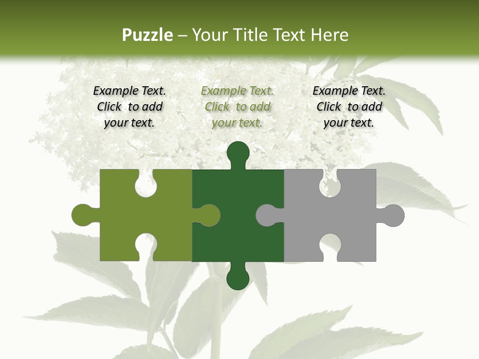 Nature Studio Sambucus Nigra PowerPoint Template