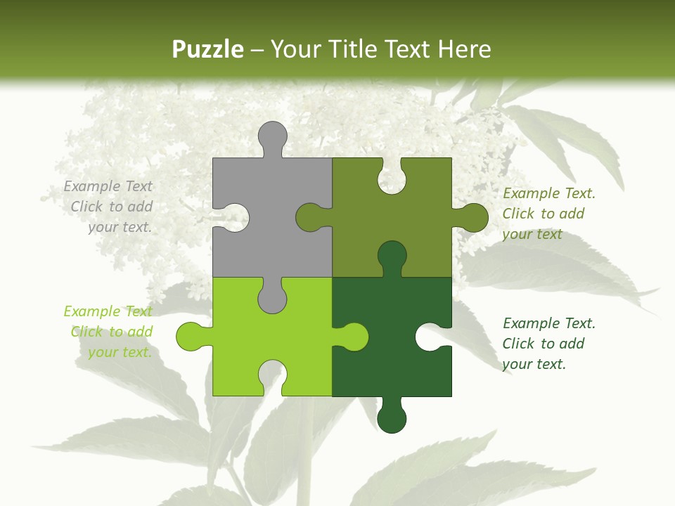 Nature Studio Sambucus Nigra PowerPoint Template