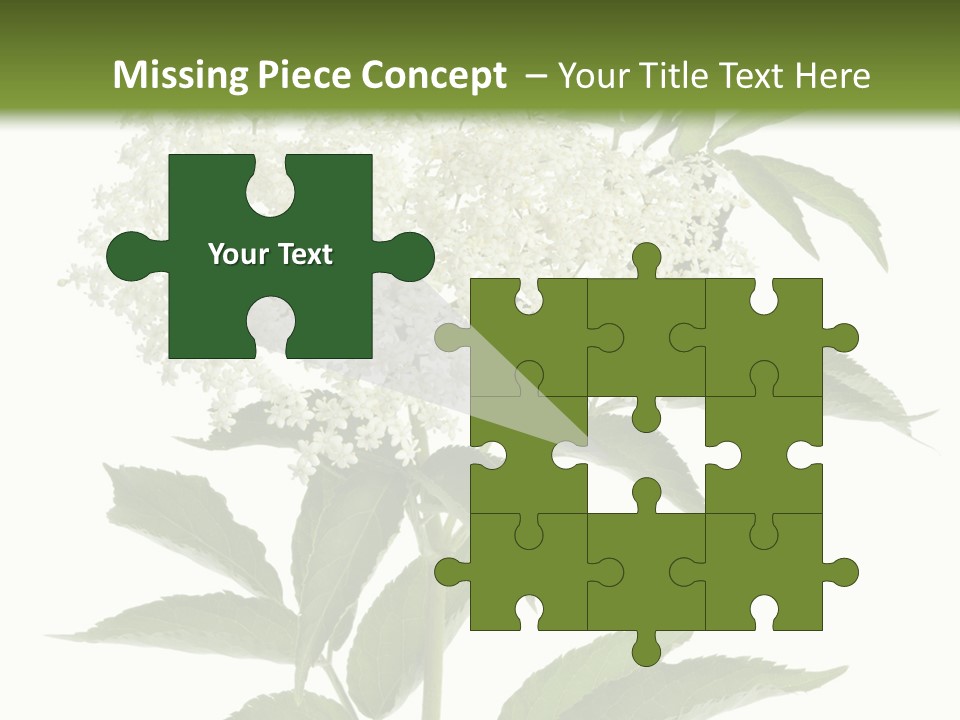 Nature Studio Sambucus Nigra PowerPoint Template