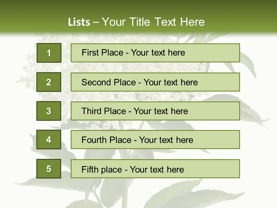 Nature Studio Sambucus Nigra PowerPoint Template