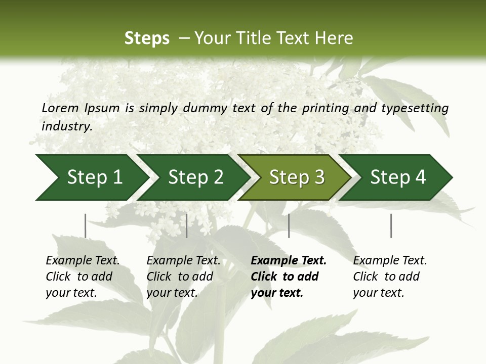 Nature Studio Sambucus Nigra PowerPoint Template