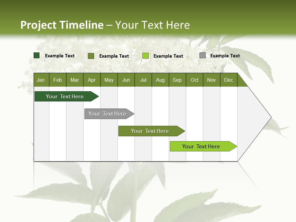 Nature Studio Sambucus Nigra PowerPoint Template