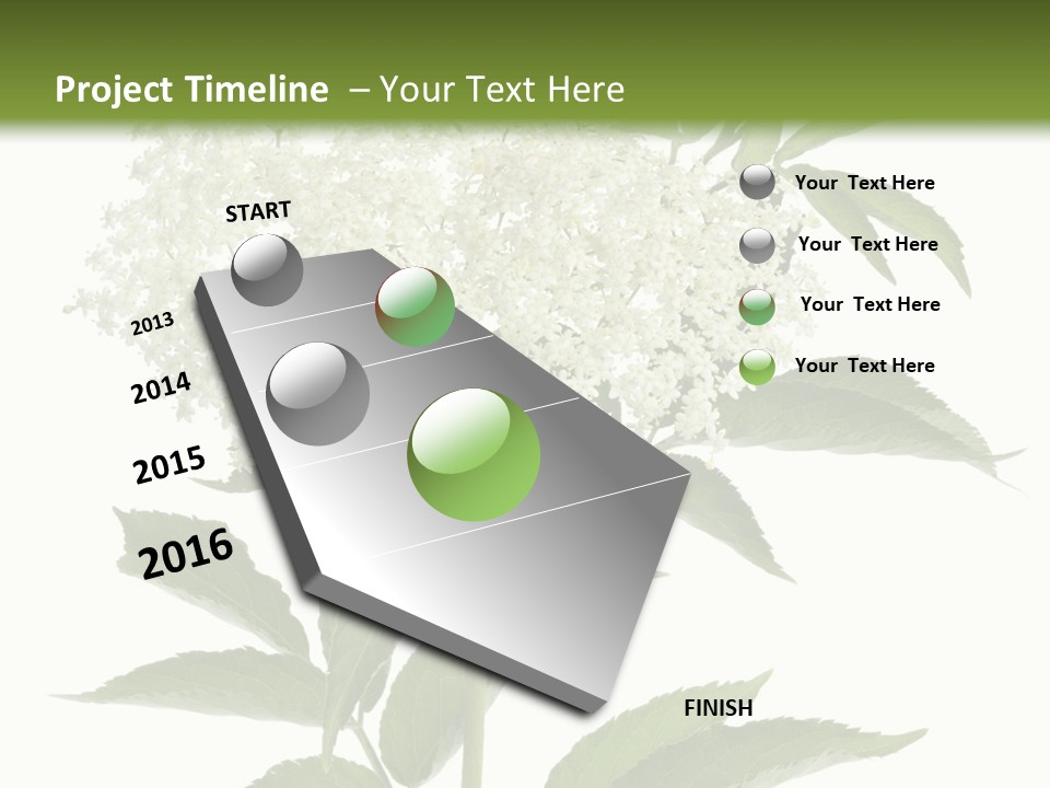 Nature Studio Sambucus Nigra PowerPoint Template