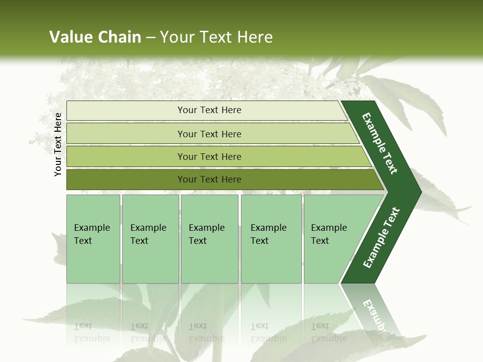 Nature Studio Sambucus Nigra PowerPoint Template