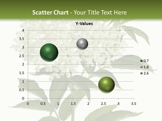 Nature Studio Sambucus Nigra PowerPoint Template